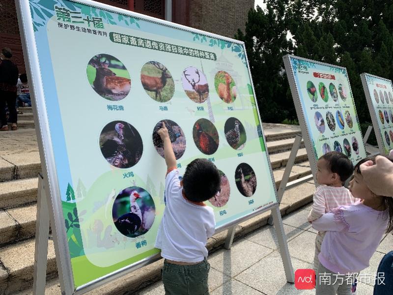 拍照扫描即可识别禁食野生动物，广东保护野生动物宣传月启动