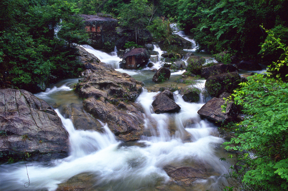 三桠塘幽谷-流溪河.jpg