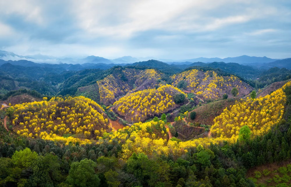 从化三村村.jpg