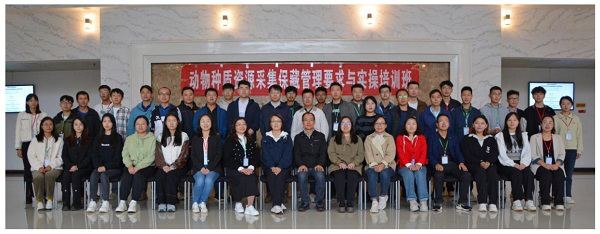 图片10.png