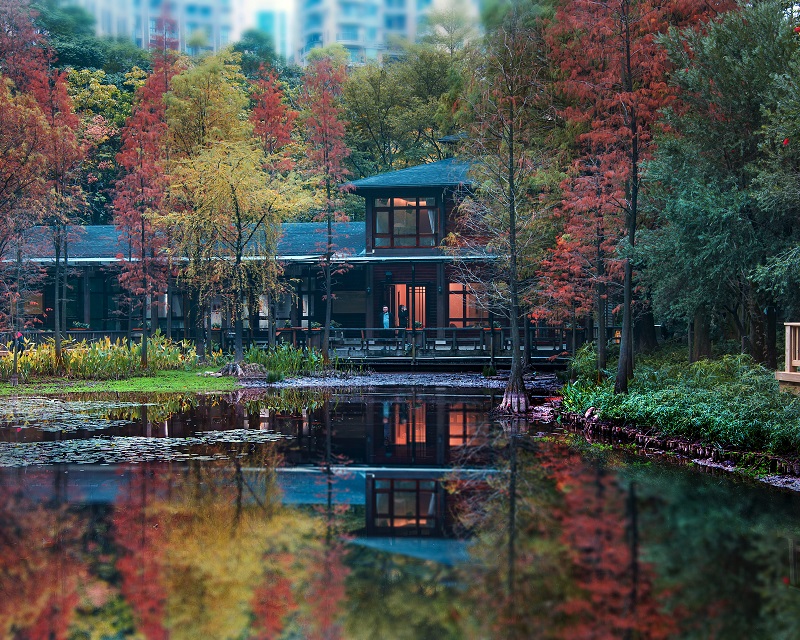 水生植物区2016.jpg