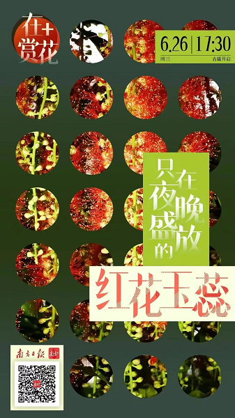 图片11.png