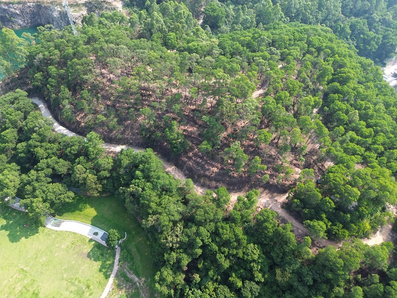 3.六片山森林公园多彩森林建设.jpg