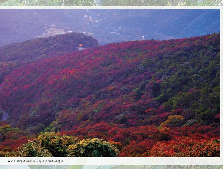 1.石门国家森林公园红枫林.jpg