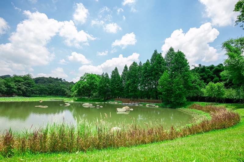 2.创新山地公园小微湿地建设.jpg