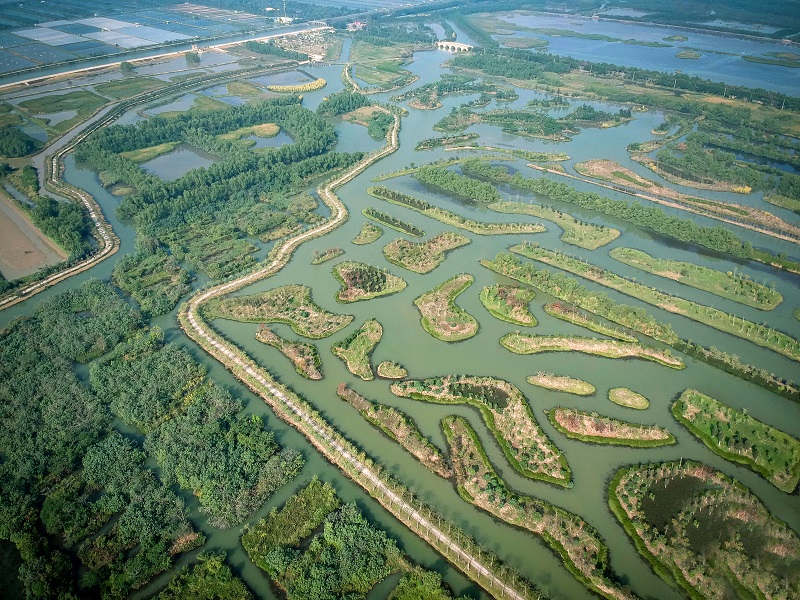 南沙湿地示范点（封面图）.jpg