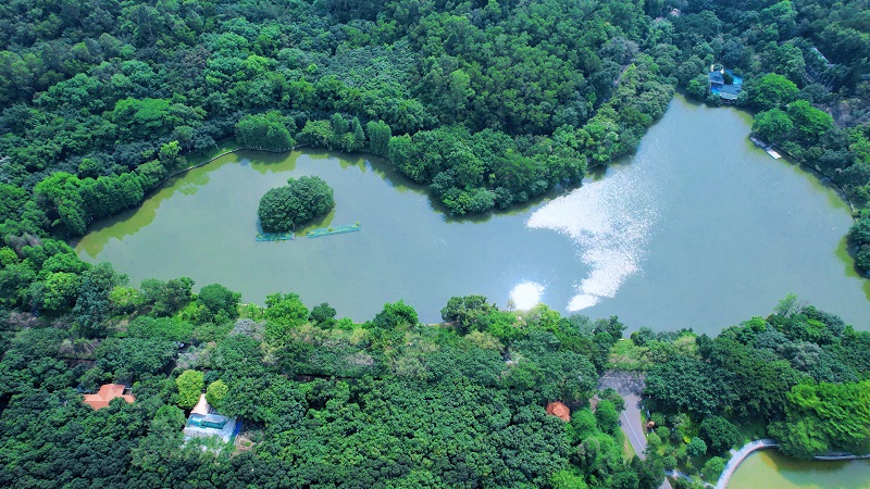 大夫山森林公园示范区（封面图）.jpg