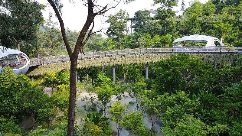 1.云萝植物园雨林花谷.jpg