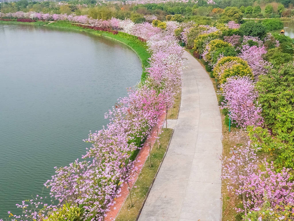 海珠湿地石榴岗河l绿道