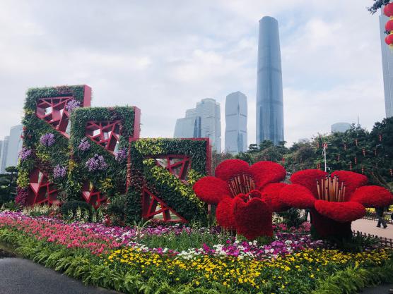 微信图片_20190201154727
