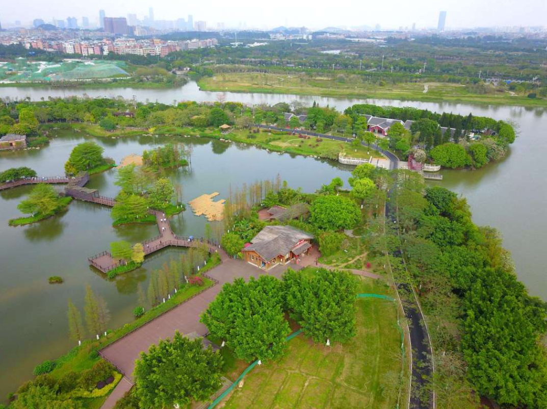 广州珠江公园快绿湖图片