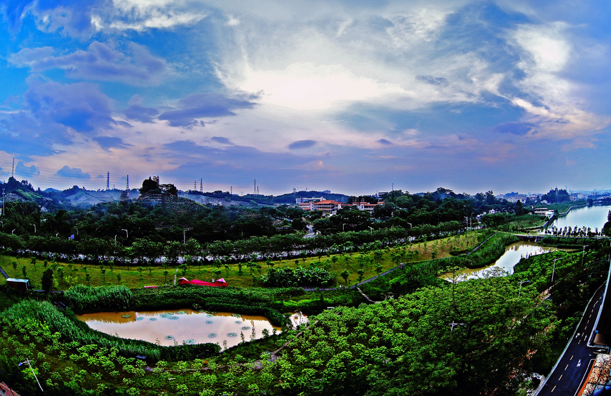 广州大观湿地公园景点图片